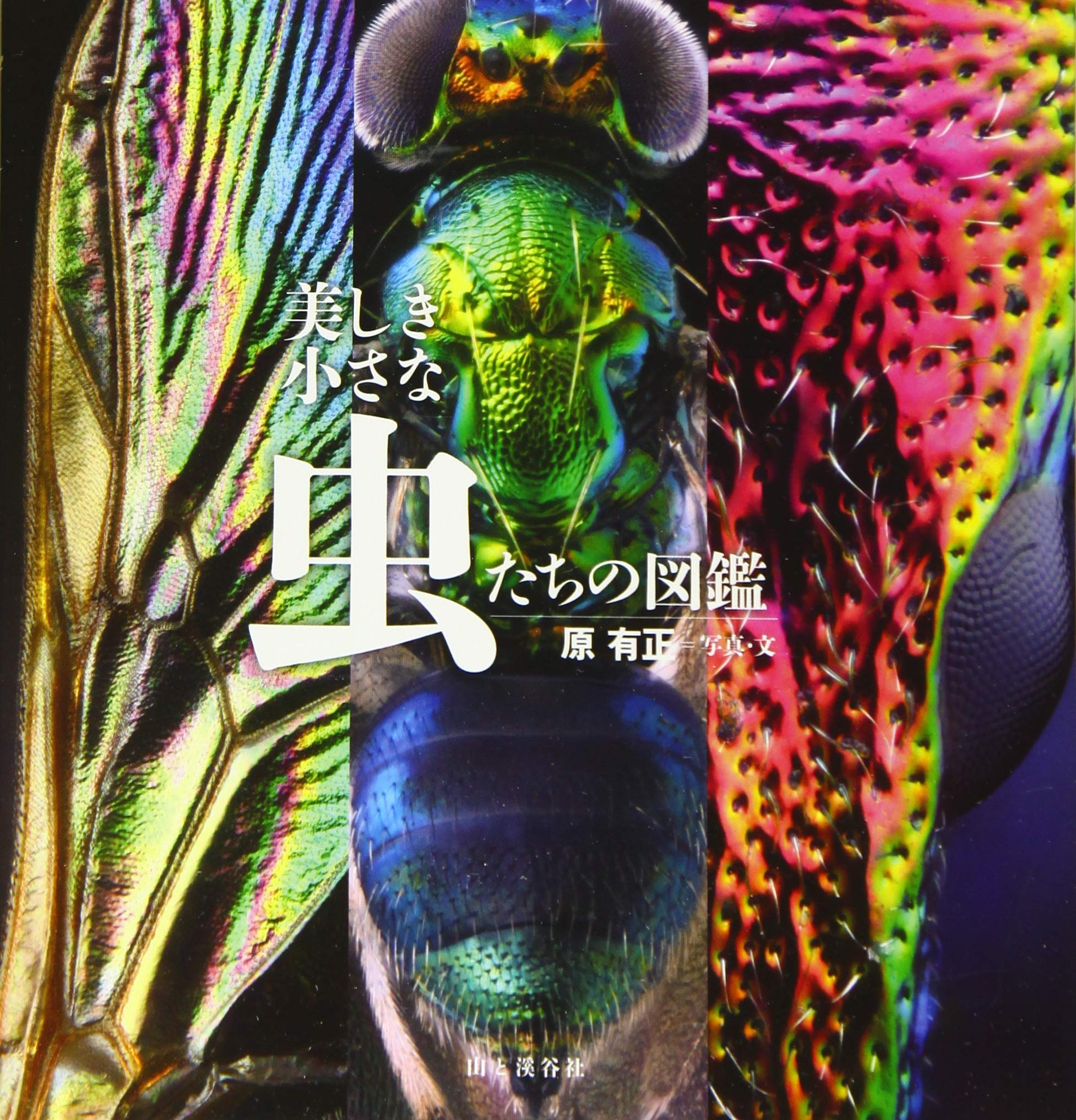 美しき小さな虫たちの図鑑 原 有正 本 通販 Amazon