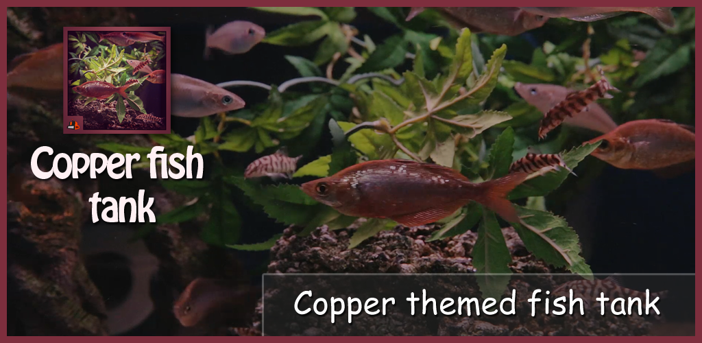 Copper Fish Tank