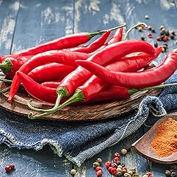 Back to the Roots 100% Organic Seed Packet - Chili