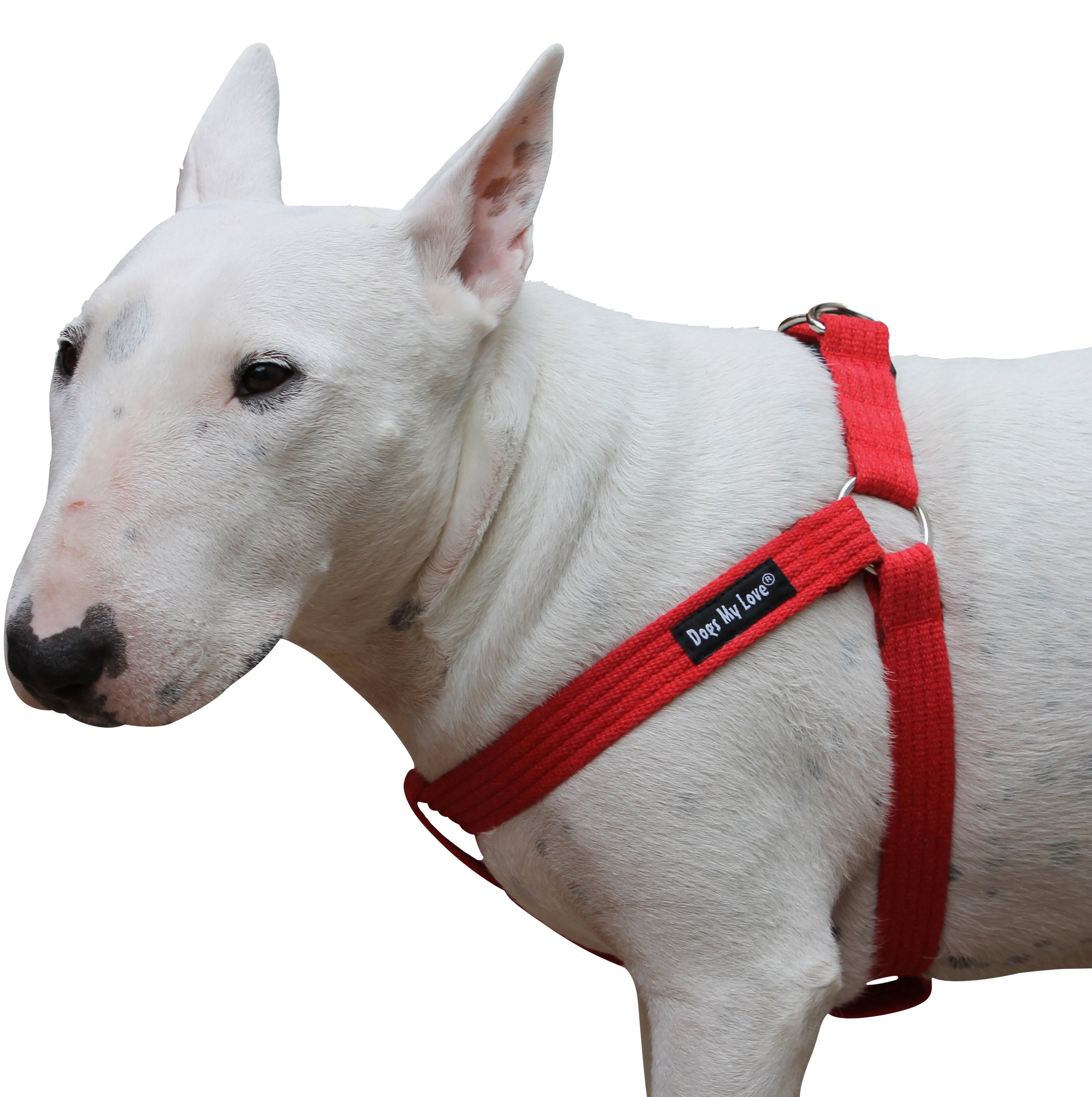 Cotton Web Adjustable Dog Step-in Harness 4 Sizes Red (Large: 17"-23" Chest; 1" Wide)