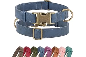 Didog Soft PU Leather Dog Collar, Stylish Quick Released Dog Collars for Small Dogs, Easy Clean Adjustable Pet Collar for Daily Walking, Blue, S Fit 10-16" Neck