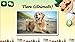 Learn German Words 1 Free: Speaking Lessons with Language Flashcards