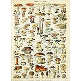 MyPuzzle Champignons - Mushrooms for All, Vintage Art Poster, Adolphe Millot - Premium 1000 Piece Jigsaw Puzzle for Adults