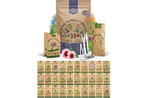 Organo Republic 30 Medicinal Tea Herb & Flower Seeds Variety Pack - 13600+ Non-GMO Heirloom Flower Seeds for Outdoor & Indoor Garden, Including Bergamot, Catnip, Calendula, Dandelion, Lovage, Zinnia