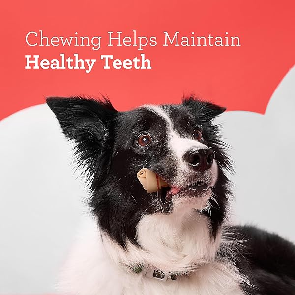 DREAMBONE MINI CHEWS, MADE WITH REAL CHICKEN, RAWHIDE FREE CHEWS FOR DOGS, 24 COUNT