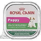 royal canin schnauzer puppy