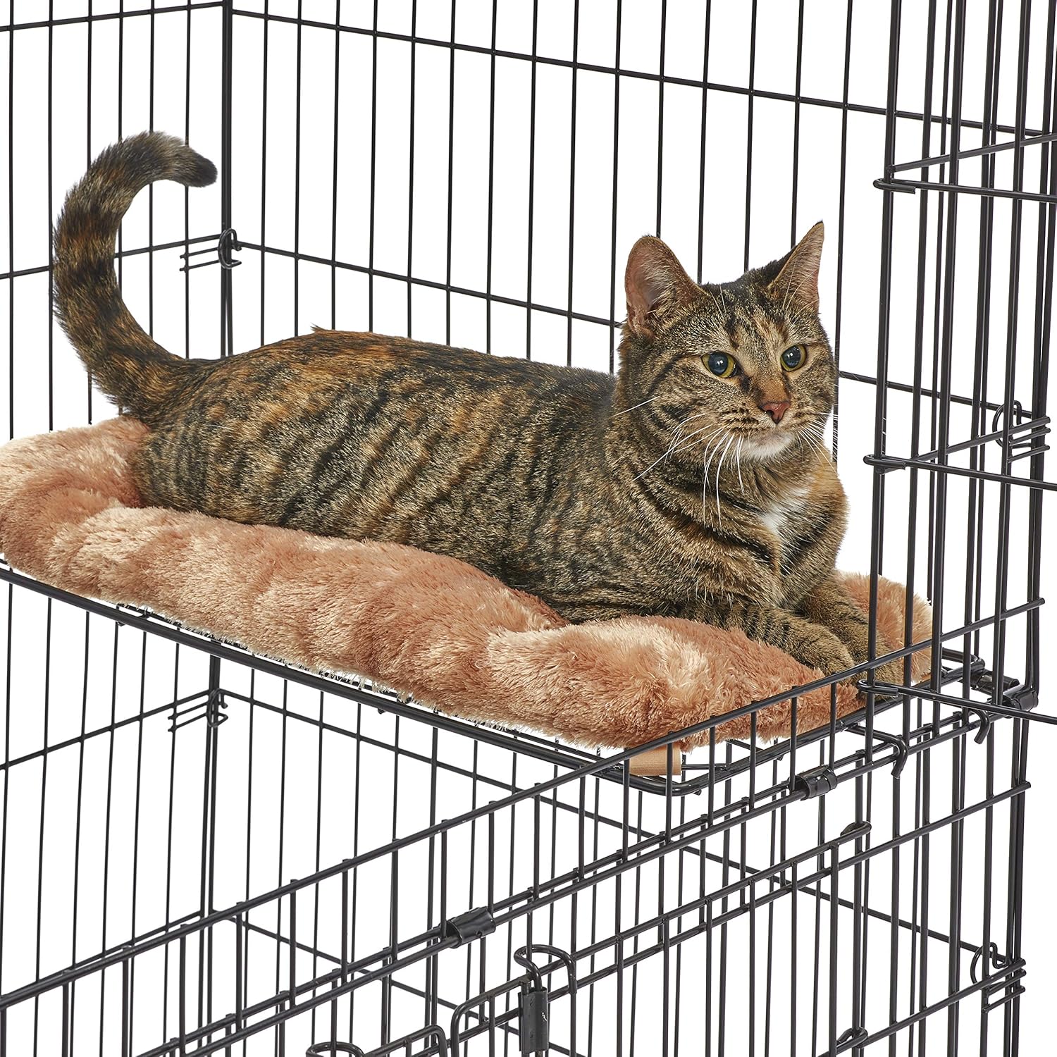 MidWest Cat Playpen / Cat Cage Includes 3 Adjustable Resting Platforms, Removable Leak-Proof Pan, Easy 2-Door Top / Bottom Access & 4-locking Wheel Casters : Pet Kennels : Pet Supplies