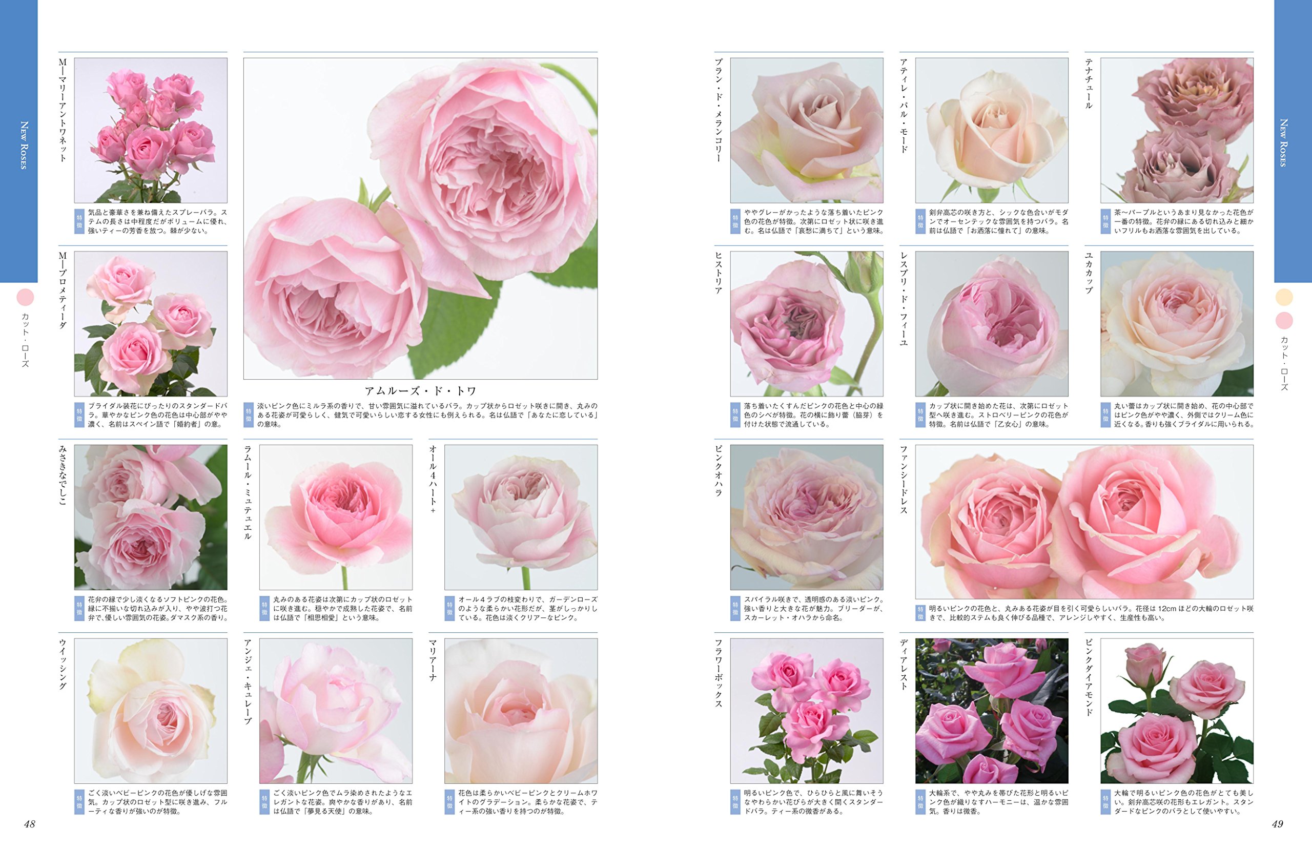 新 薔薇大図鑑20 Encyclopedia Of Rose 本 通販 Amazon
