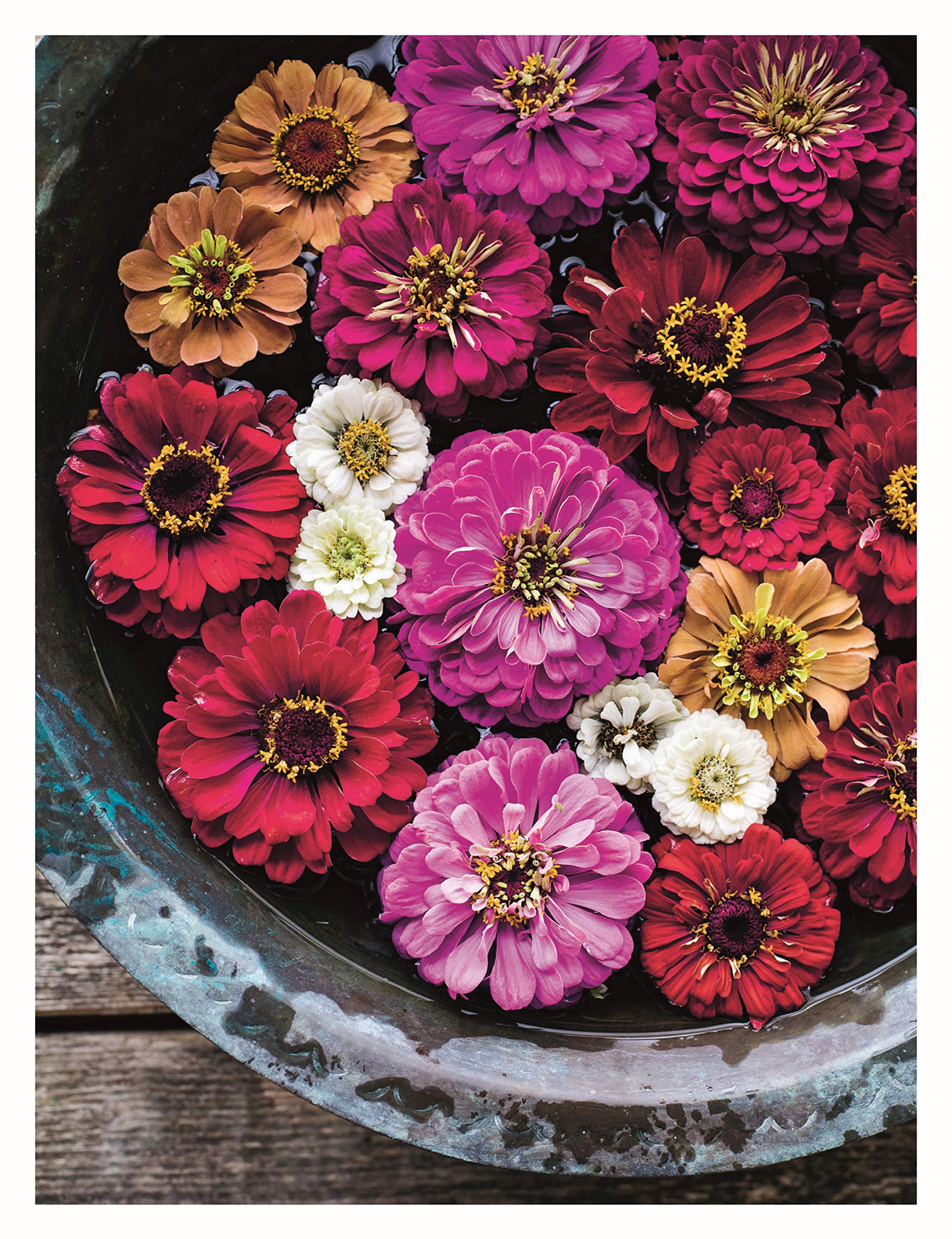In Bloom: Growing, Harvesting, and Arranging Homegrown Flowers All Year Round (CompanionHouse Books) Create a Perfect Garden of Color, Texture, & Shape with Annuals, Perennials, Shrubs, Trees, & More