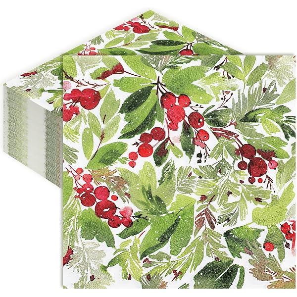 100 Weihnachtsservietten, Aquarell-Design Mit Kardinal & Karomuster, 16,5 X 16,5 Cm – Für Party, Tischdeko