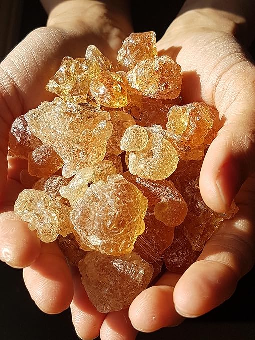 Gum Arabic Resin Acacia Gum Premium Grade 450 grams (resin) Amazon.ca