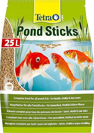 older dog pooping in house at night