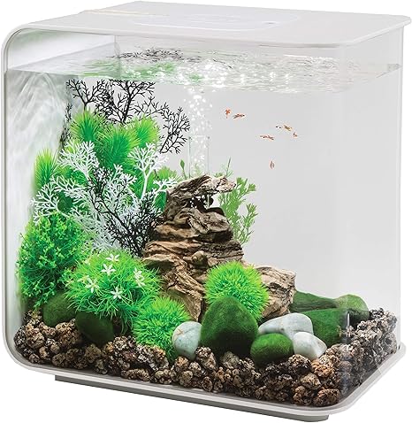 automatic fish feeder for biorb