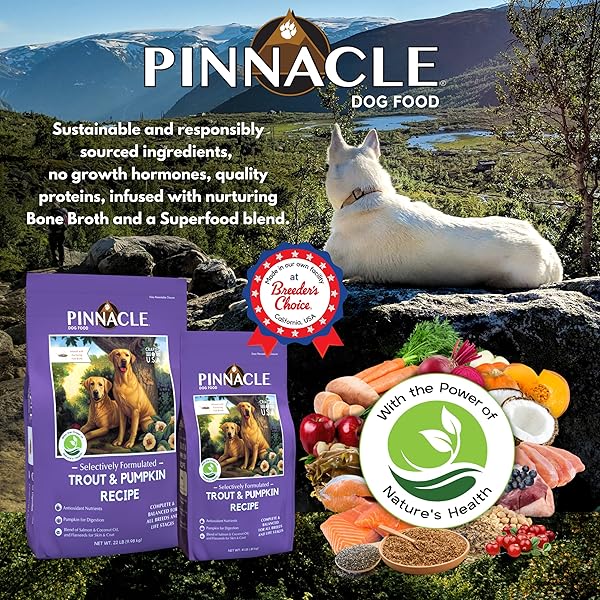 PINNACLE PET PINNACLE TROUT & PUMPKIN DRY DOG FOOD 4 LB, INFUSED WITH BROTH