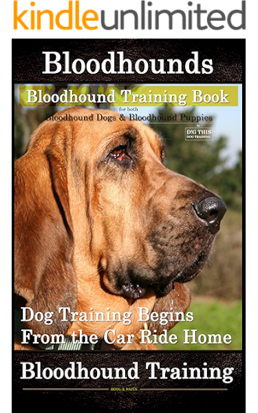 baby bloodhound puppies