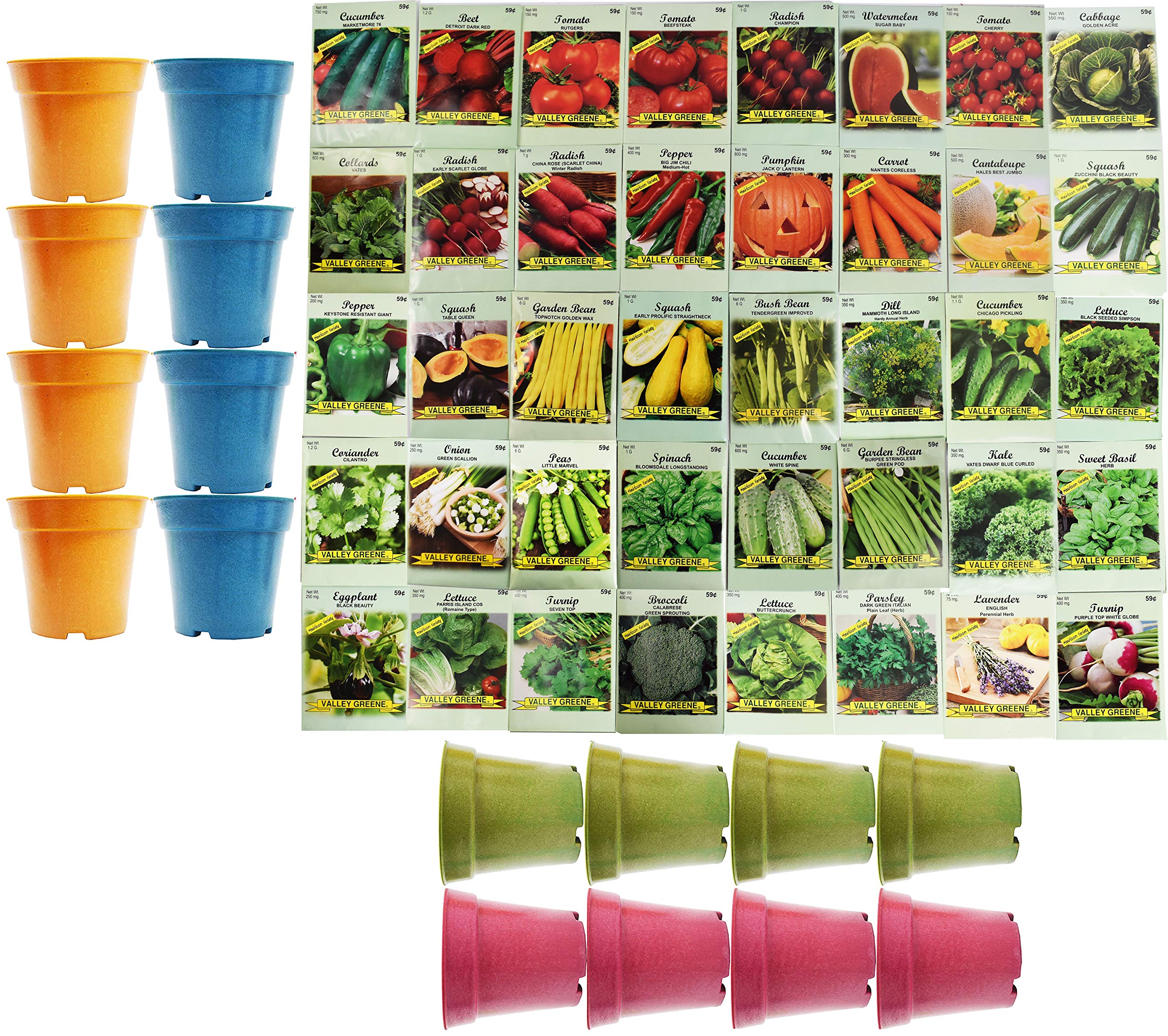 Set of 40 Assorted Vegetable & Herb Seeds with 22 Peat Pot Starters - 40 Varieties Create a Deluxe Garden All Seeds are Heirloom, 100% Non-GMO!