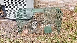 Review Image by J. Irby