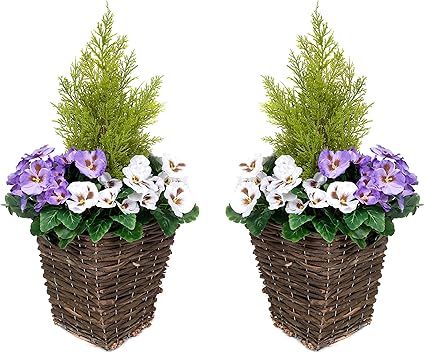 Greenbrokers Purple White 2 X Artificial Patio Planter Pansies Conifer Cedar Topiary Set Of 2 30x30x64 Cm Amazon Co Uk Garden Outdoors