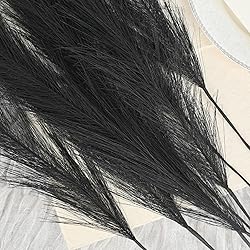 U-LIAN 36PCS Black Faux Pampas Grass 21.7