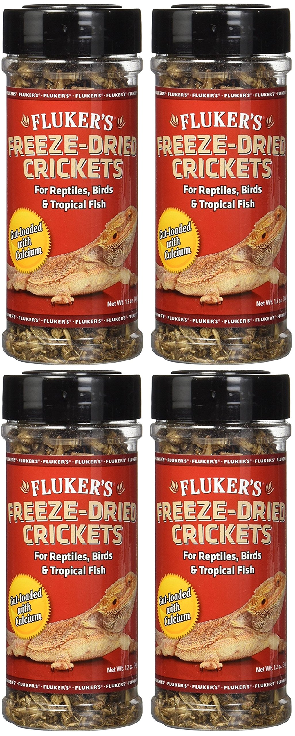 Photo 1 of FREEZE DRIED CRICKETS  1 1.2 OZ