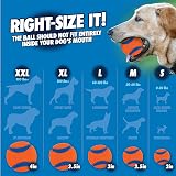 Chuckit! Fetch & Fold Ball Launcher with Ball – Ultra Portable, 25 in view 9