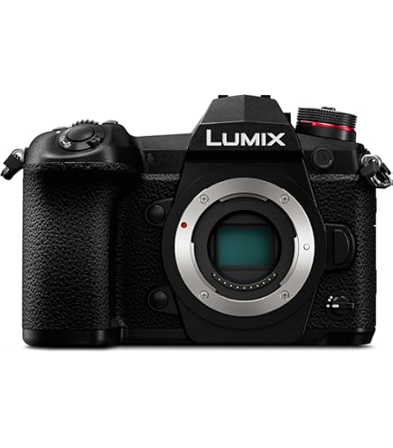 Amazon.com : Panasonic LUMIX G9 4K Digital Camera, 20.3 Megapixel