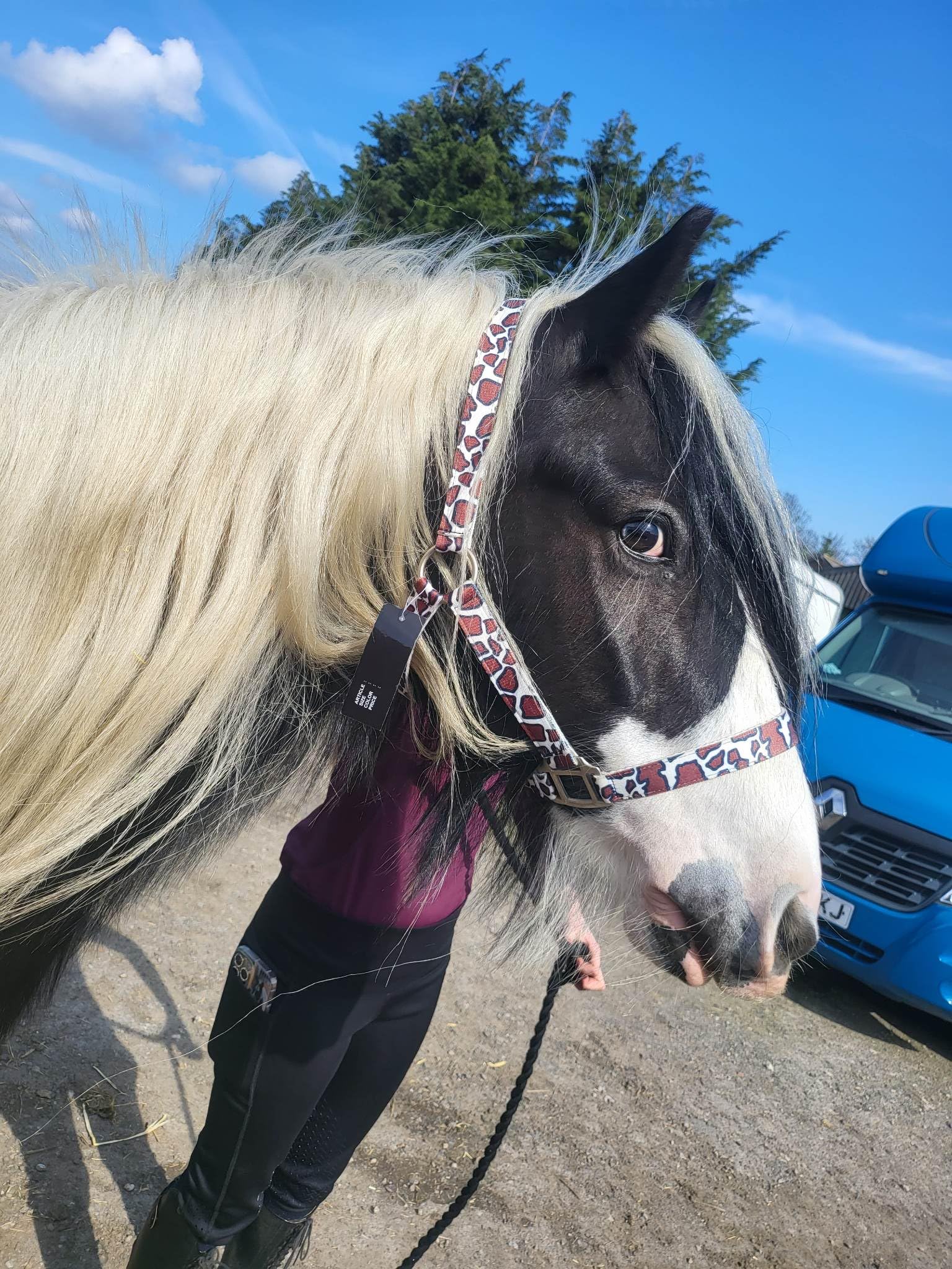 Equipride Horse Headcollar camouflage Print with Lead Rope Satin Fitting Full-M.Shetty (Camouflage Print, Shetland)