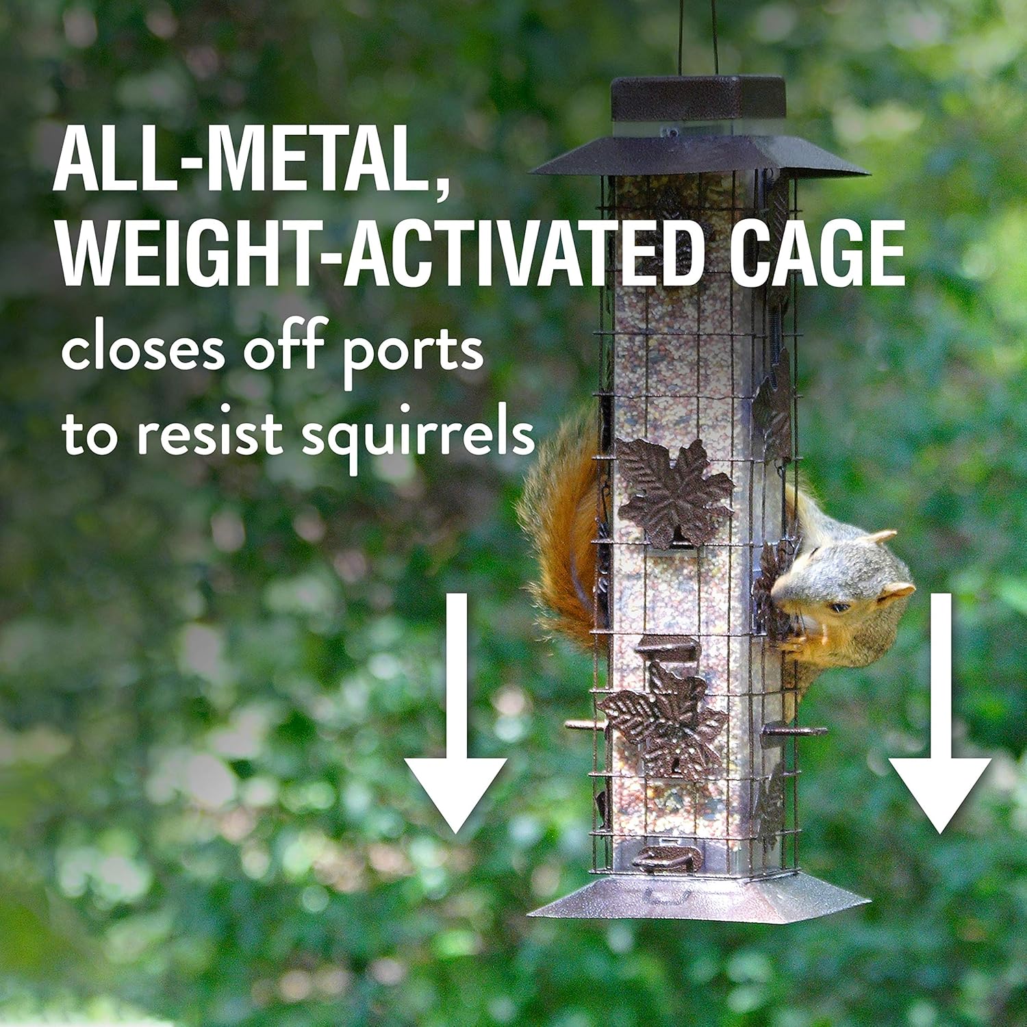 Perky-Pet 336 Squirrel-Be-Gone Wild Bird Feeder – 2 lb : Garden & Outdoor