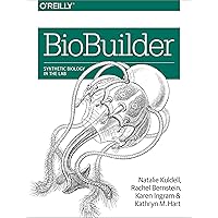 Biokinetics and Biodynamics of Human Differentiation: Principles