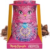 Monty Bojangles Raspberry Popping Candy Truffles Cat Tin 135g Shimmering Starlet
