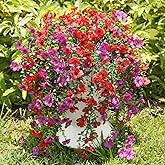 Playieer Artificial Flowers for Outdoors Spring Decor, 6 Bundles UV Resistant Realistic Fuax Silk Hanging Flowers, Fake Plants for Planter Indoor Outside Garden Porch Patio Balcony Yard Farmhouse