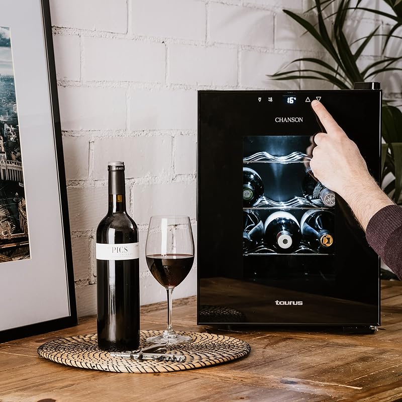 WC12T Cantinetta vino da 12 bottiglie, silenziosa, non vibra, isolamento speciale dell'interno, porta in vetro, temperatura regolabile con pannello tattile, leggera luce interna, nero