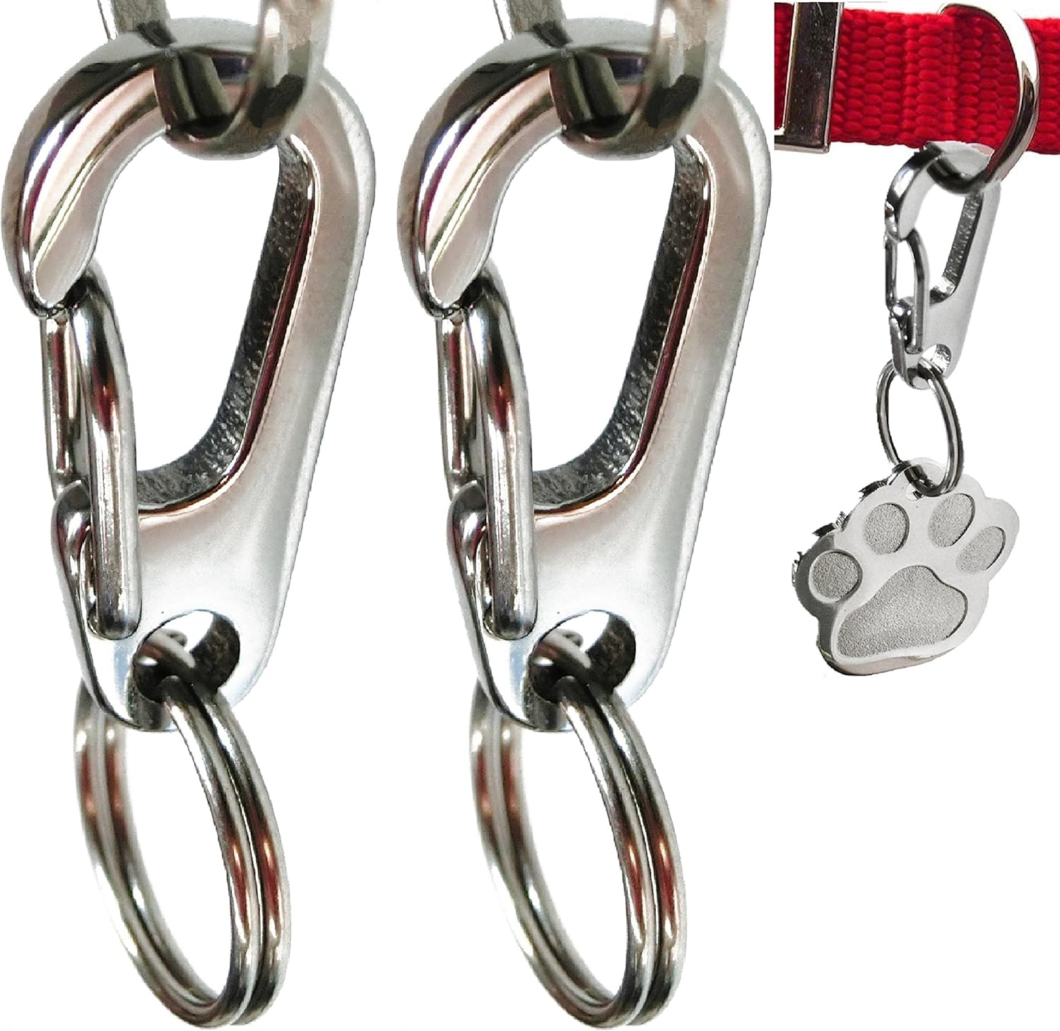 homeward bound golden retriever