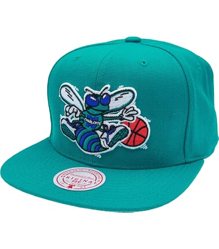 Amazon.com: Mitchell & Ness Charlotte Hornets Team 2 Tone Snapback