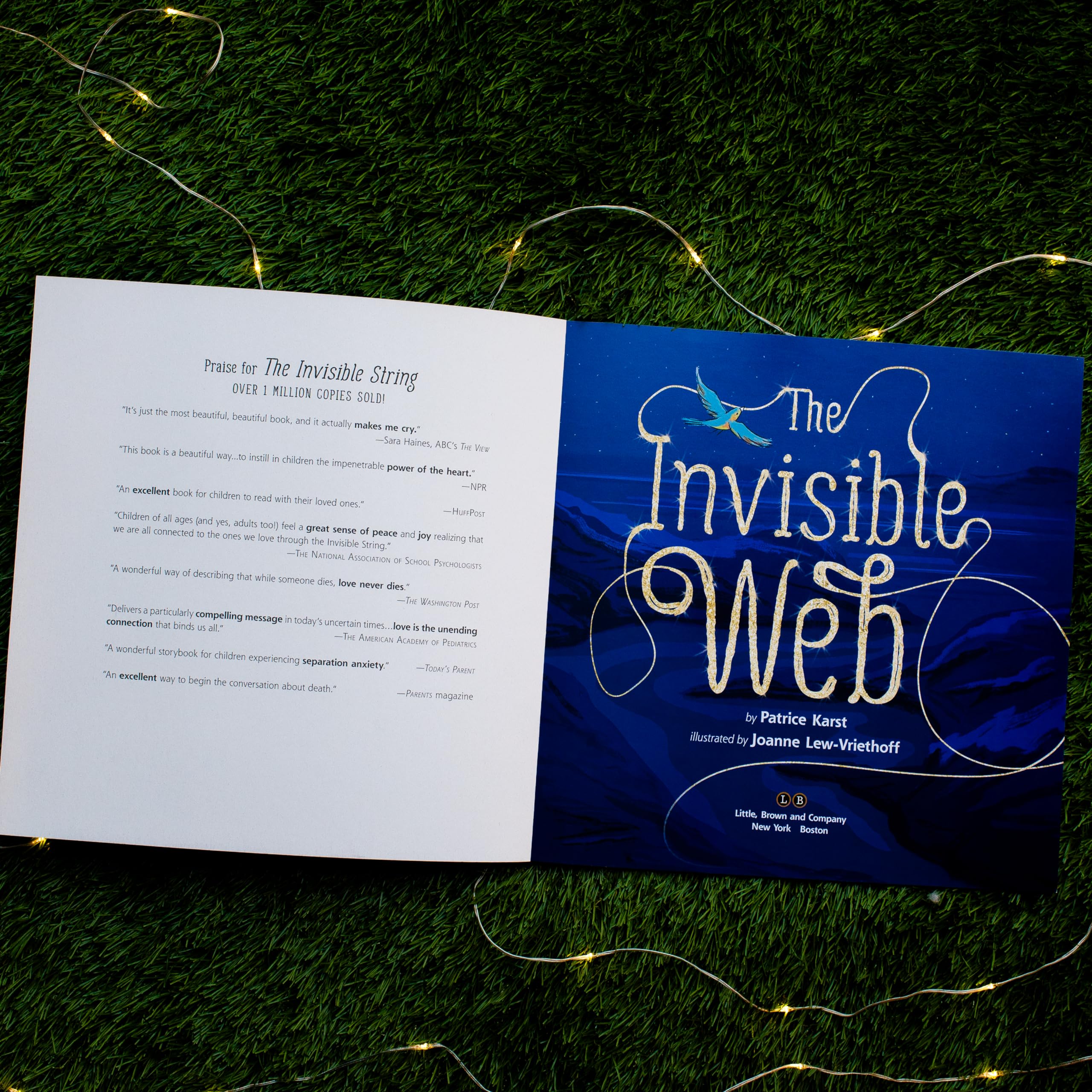 The Invisible Web: An Invisible String Story Celebrating Love and Universal Connection (The Invisible String, 4)