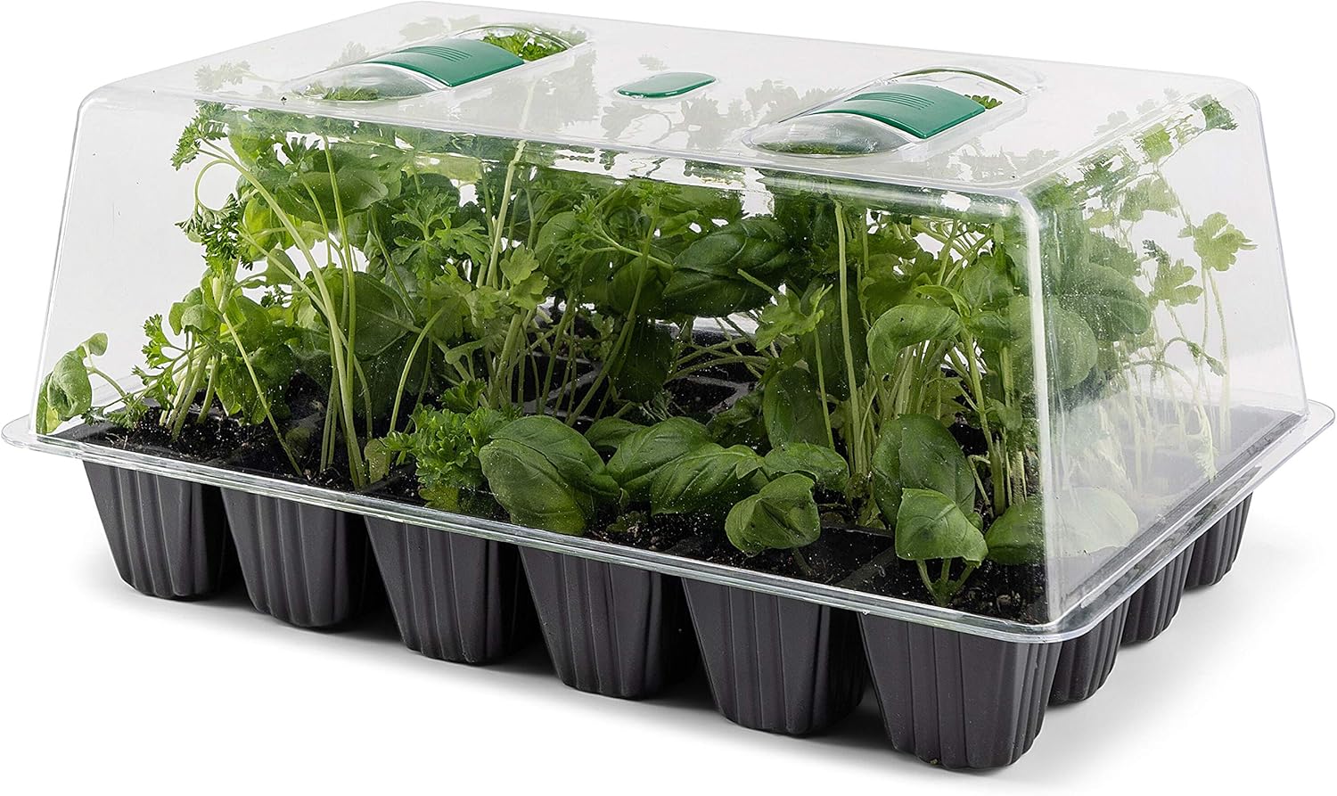 TOP 10 Mejores Cubiertas jardineras para huertos | (Octubre 2020) | Review