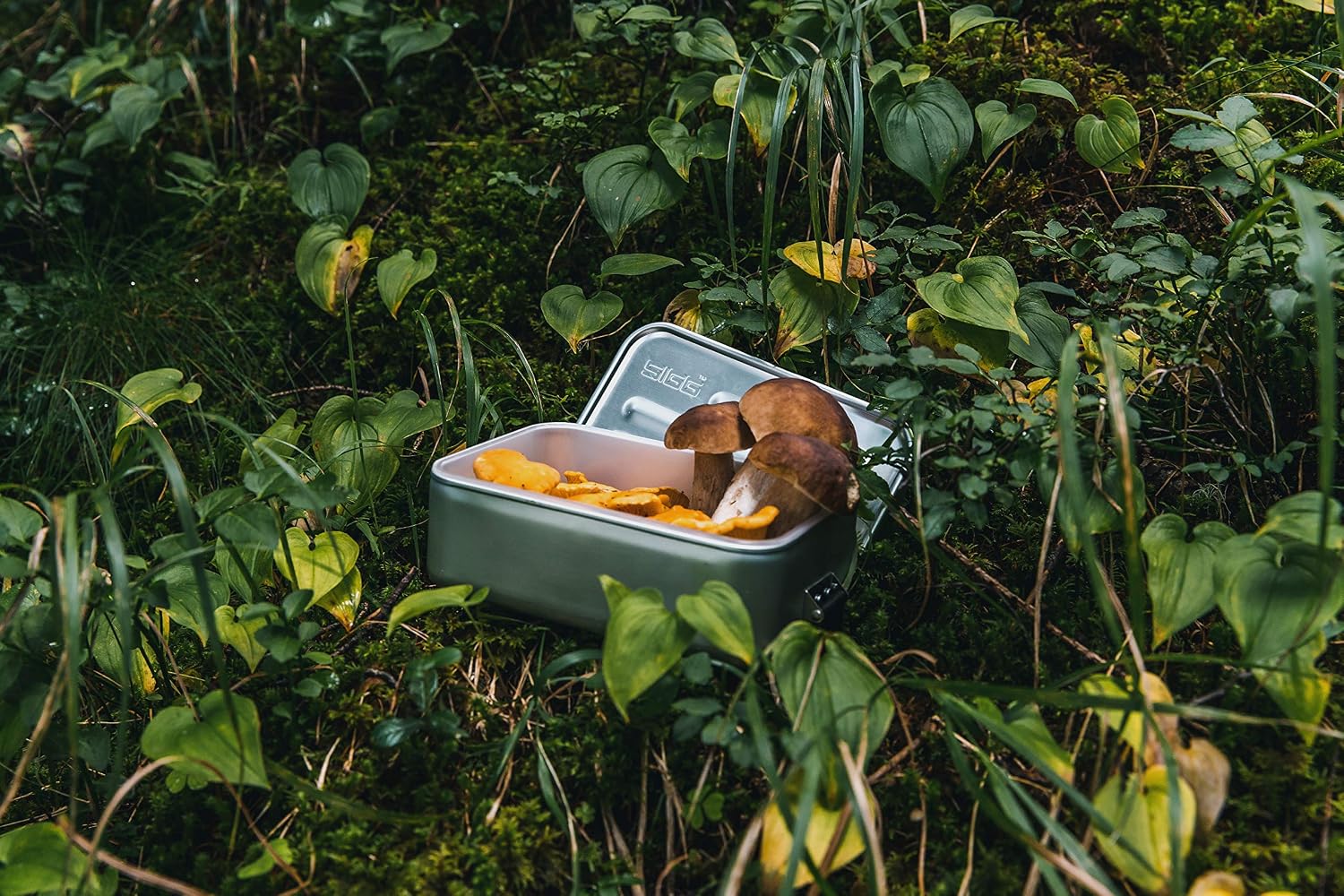 Sigg, Aluminium Lunchbox Plus S Alu, with Food Separator, Award Winning, Dishwasher & Microwave Safe, Leakproof - Image 4