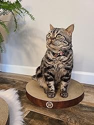 Necoichi Cat Scratcher Bowl Replacement for Indoor