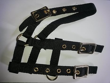 Mini Fohlen Halfter Ekkia schwarz