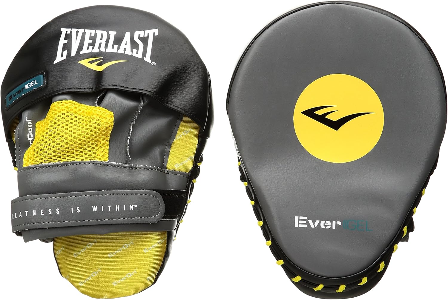 everlast focus mitts