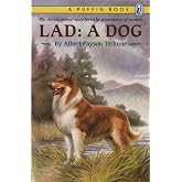 Lad: A Dog