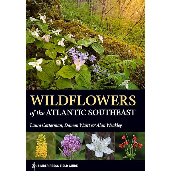 Maples for Gardens: A Color Encyclopedia: C.J. van Gelderen