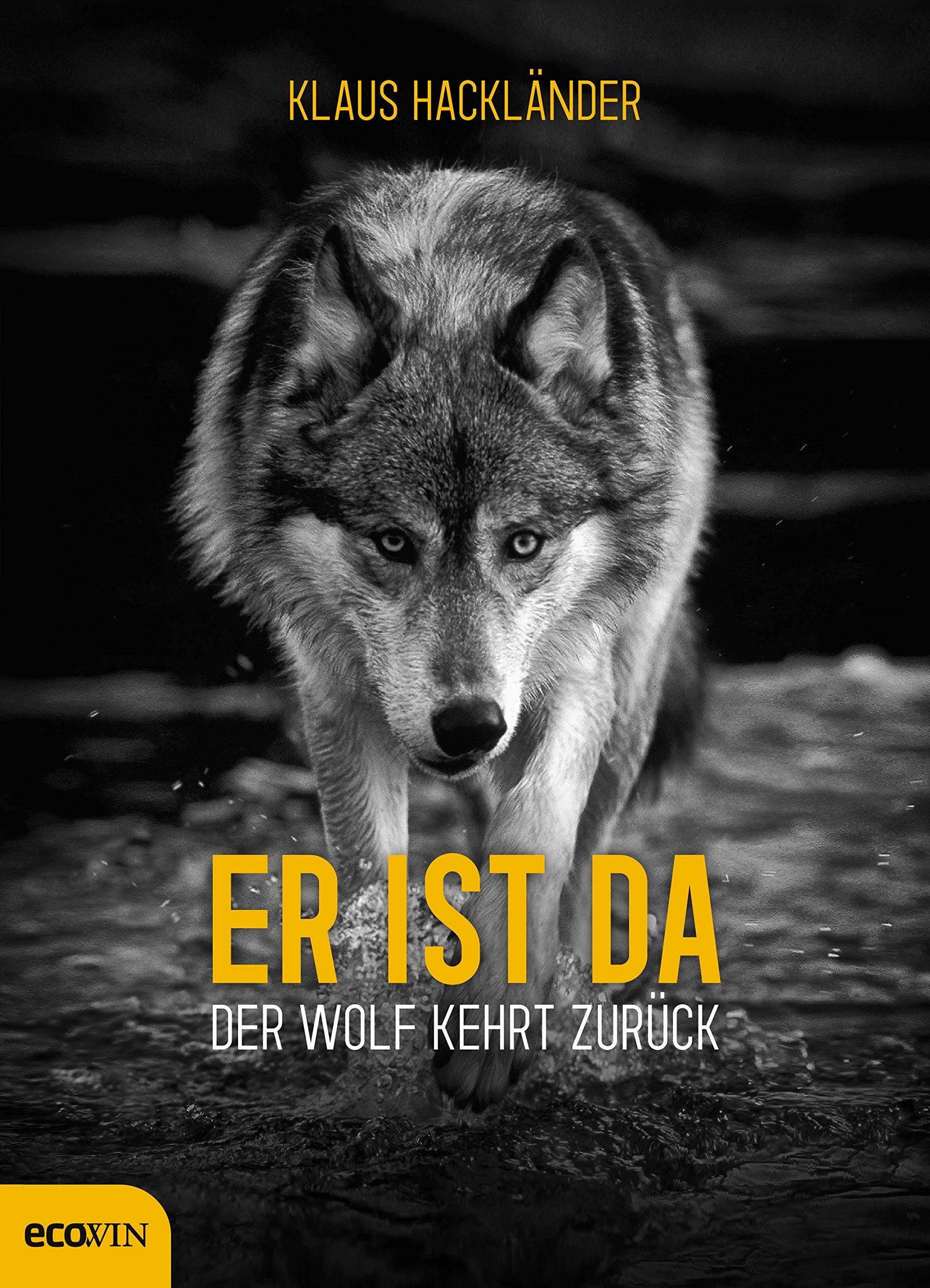 Der Wolf Kehrt Zuruck Wolfsrudel In Unseren Waldern Im Fadenkreuz Der Interessen Zwischen Gefahr Fur Mensch Landwirtschaft Und Erfolg Des Naturschutzes Fakten Erfahrungen Konzepte Amazon De Hacklander Klaus Moretti Tobias Bucher
