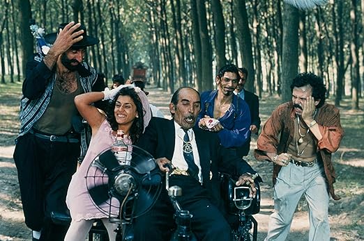 Amazoncom Chat Noir Chat Blanc Dvd Mk2 Movies Tv