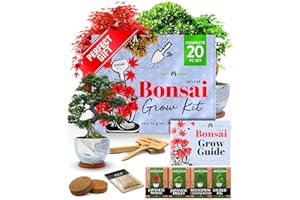 Home Grown Bonsai Tree Kit – Premium Ceramic Starter Set with 4 Bonsai Varieties – Easy Indoor Gardening Gift for Men & Women – Unique Plant Kit for Beginners & Nature Lovers