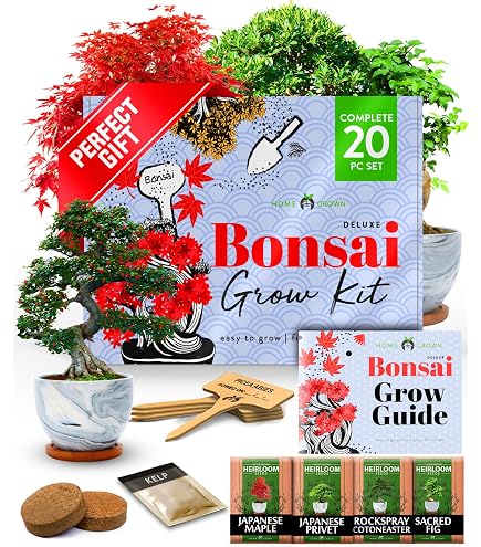 Amazon.com: Green Grow Buddha Master Bonsai Tree Growing Kit - Professional  Growing and Styling Set - Japanese Small Tree - Become Master - Ideal Tree  Seed Kit for Indoor Garden Gardening :