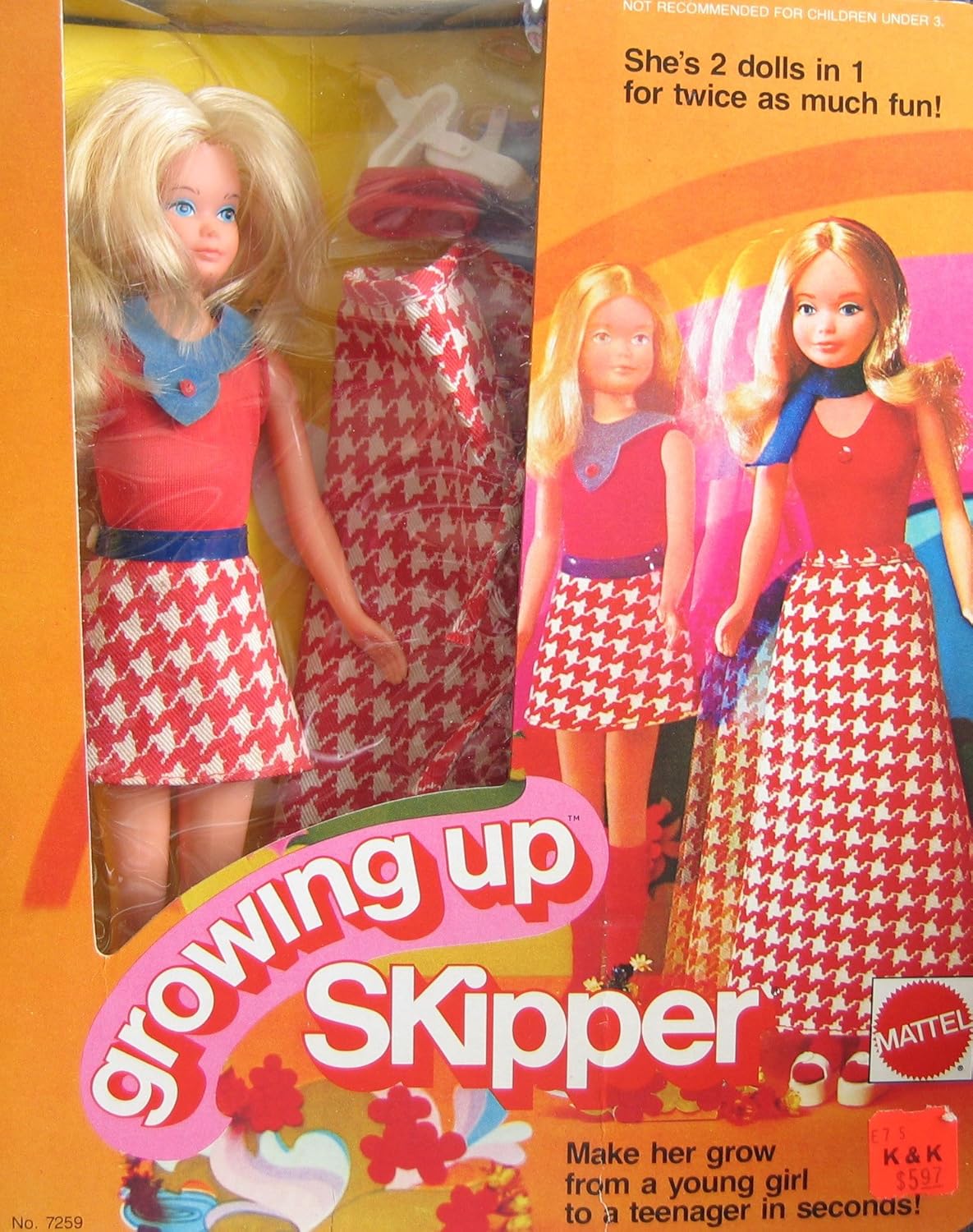 growing up skipper barbie