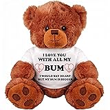 Romantic Gift Bear for Couple: Large 13" Inch Teddy Bear Funny Stuffed Animal: Unique Love You Gift : I Love You Bigger Than 