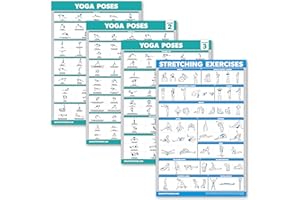 Palace Learning 4 Pack: Yoga Poses Posters Volume 1, 2 & 3 + Stretching Workout Exercise Chart