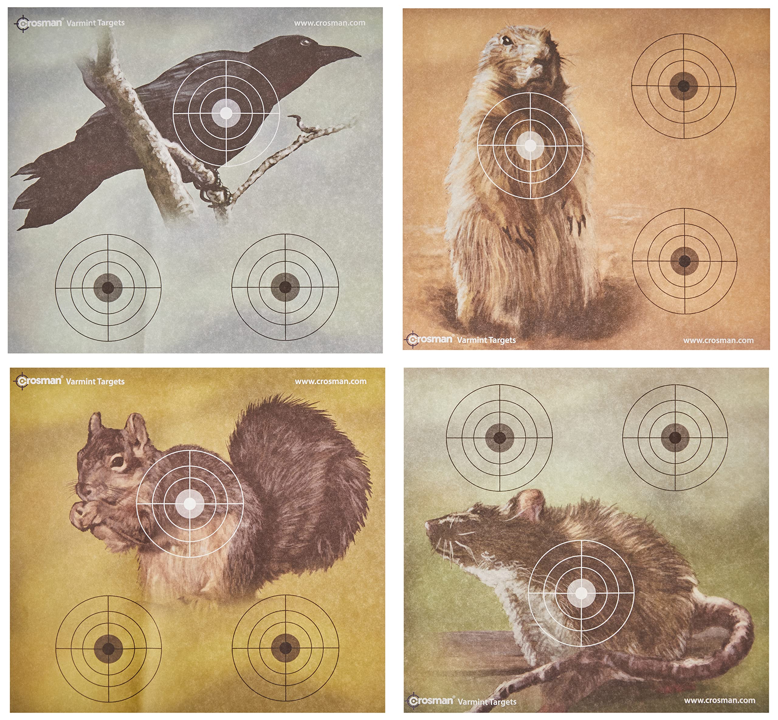 Crosman Varmint targets- 9.75” x 9” full color paper targets.